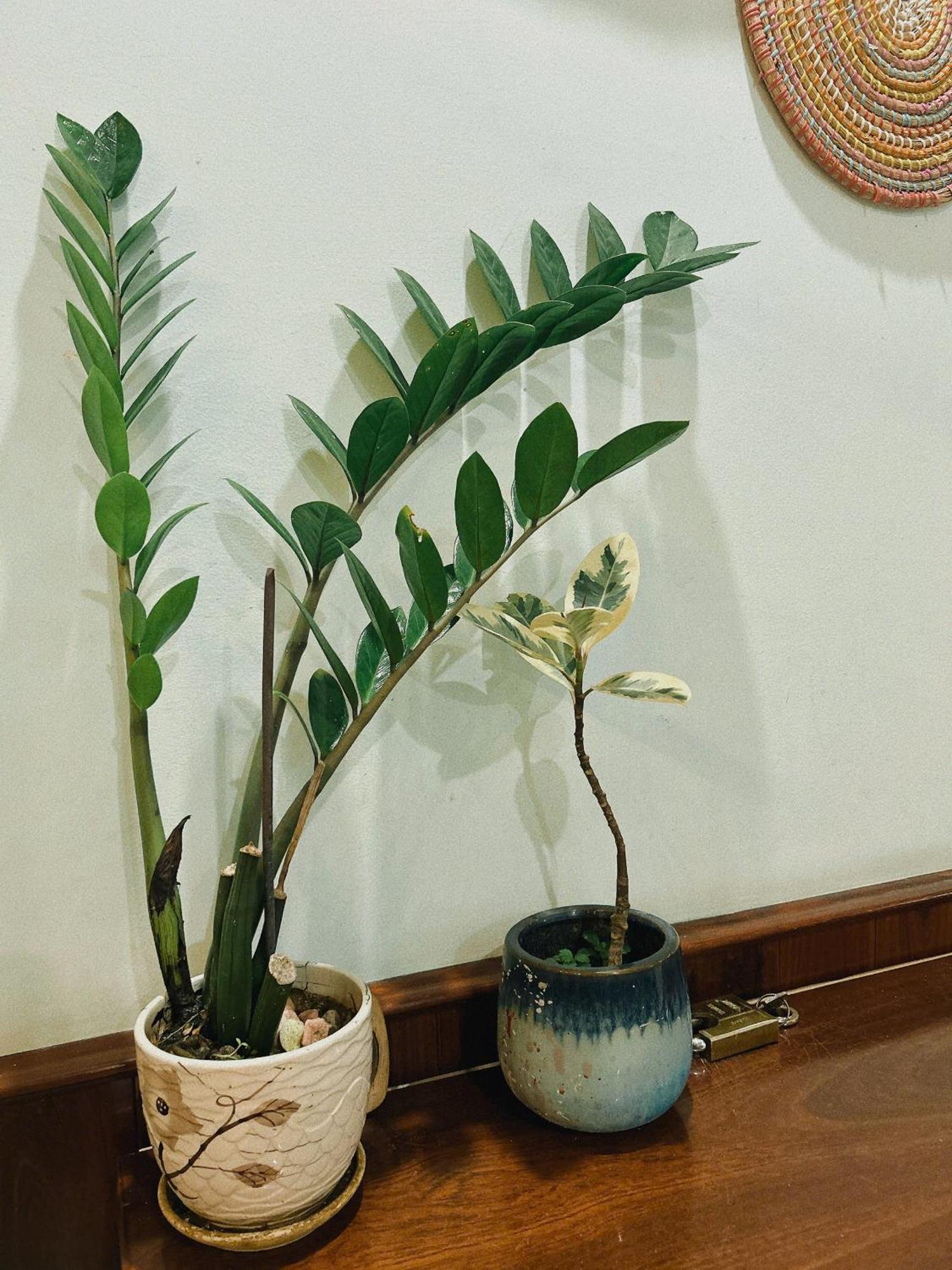 Nắng Homestay Tuy Hoa Luaran gambar